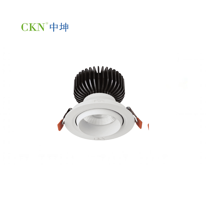 CEILING SPOTLIGHT