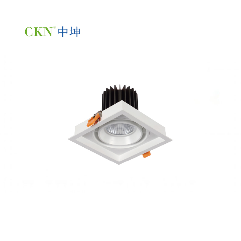 LED GRILLE LIGHT